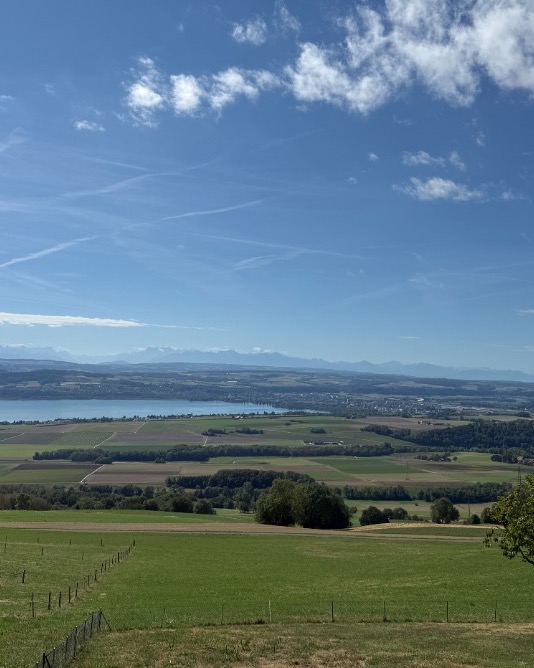 Vue panoramique apaisante sur la campagne et le lac depuis Vaugondry - Institut Symphonie des Sens